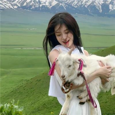 月亮星星太阳